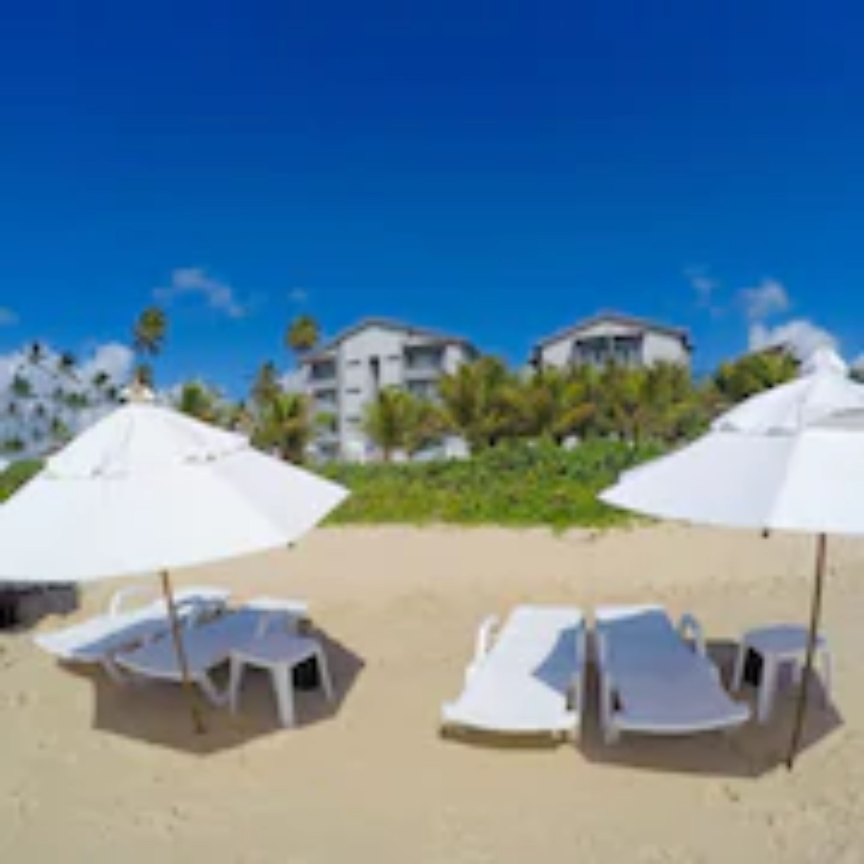 Ein Strand mit weißen Sonnenschirmen und Liegestühlen.