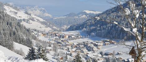 A snow-covered village with houses and a mountain backdrop.