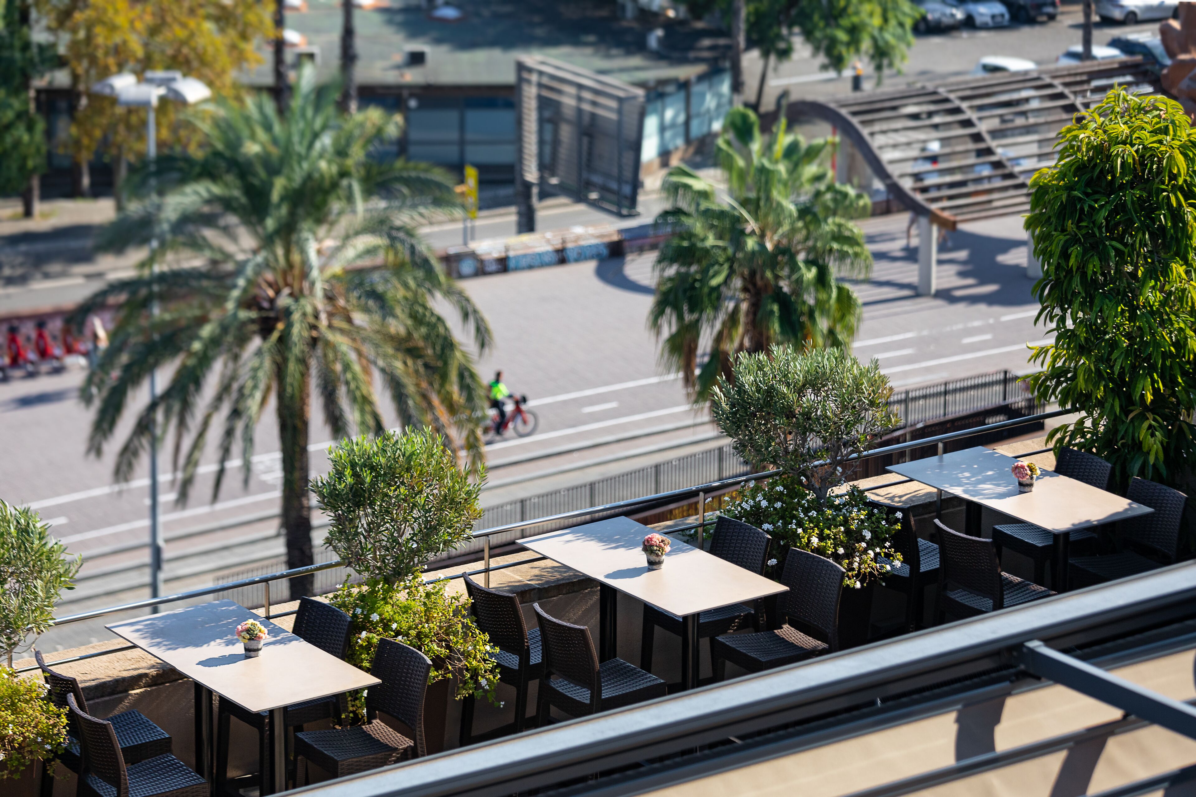 Una terraza en la azotea con mesas al aire libre, palmeras y vistas a la calle.