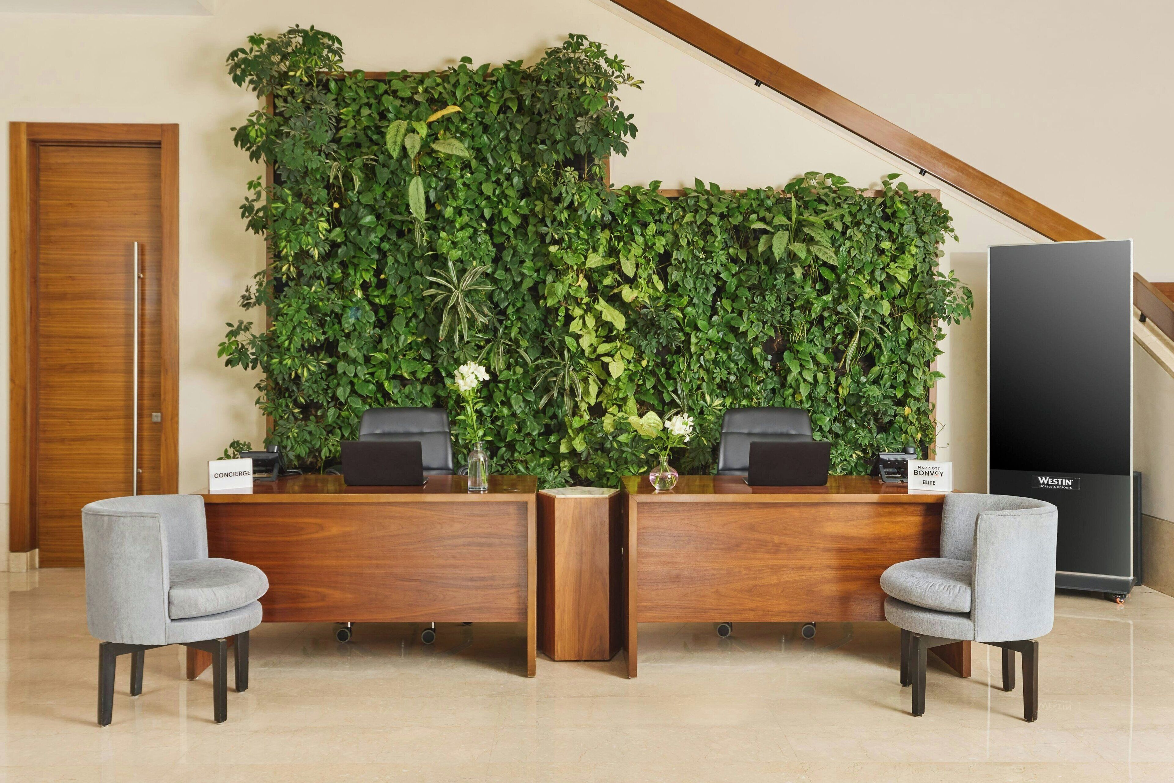 Taulell de recepció amb dues cadires, un taulell de fusta, una paret vegetal gran de color verd i un televisor de la marca Westin.
