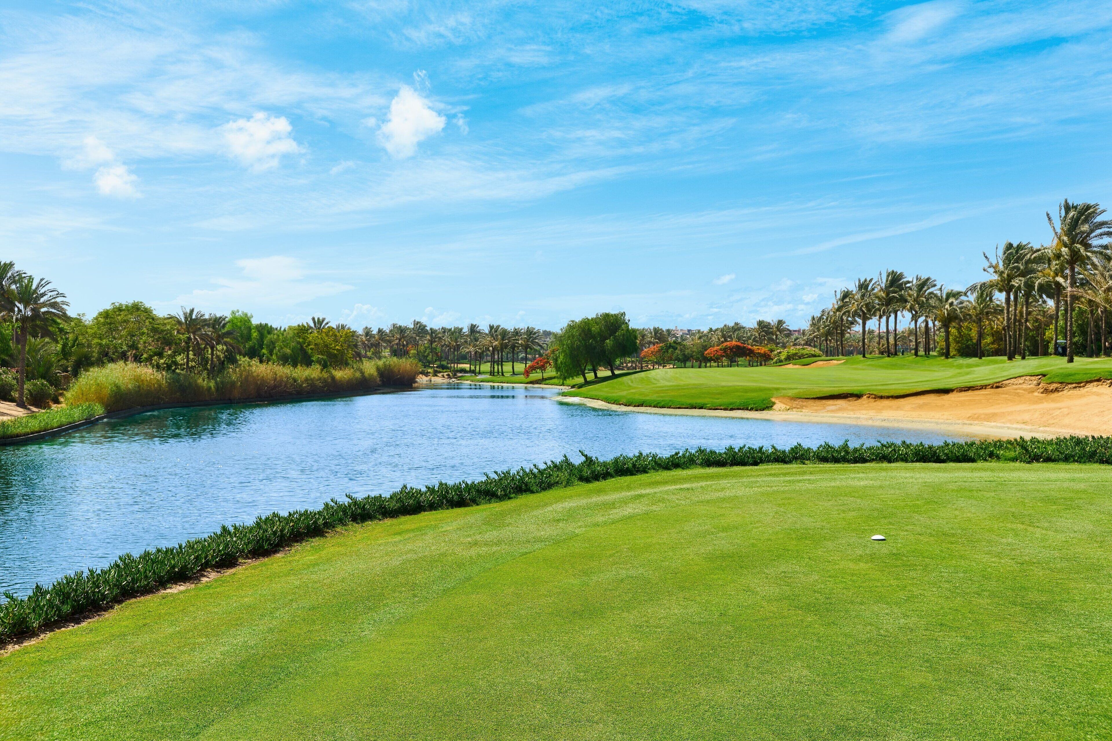 Un campo de golf con un cuerpo de agua, palmeras y cielo despejado.