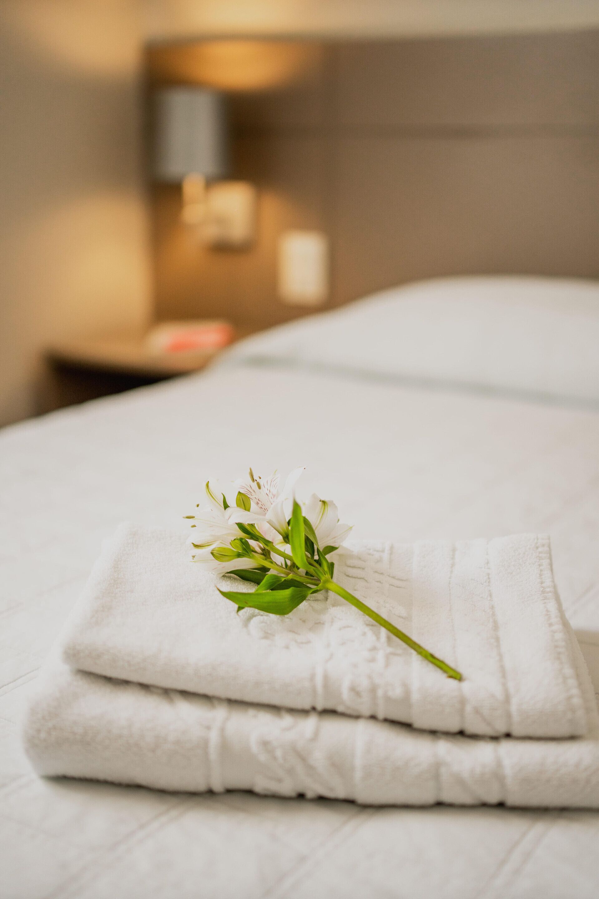 Minibar, desk, free WiFi, bed sheets