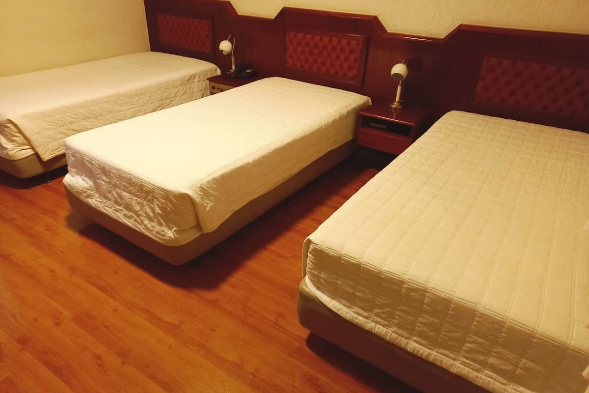 triple room | 1 bedroom, minibar, desk, free wifi