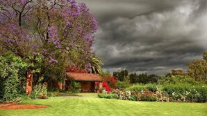 A garden with a house, lush greenery, and a cloudy sky.