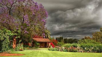 Una piscina al aire libre, sillones reclinables de piscina
