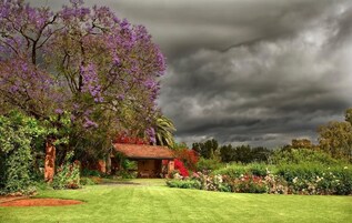 Piscina externa, espreguiçadeiras