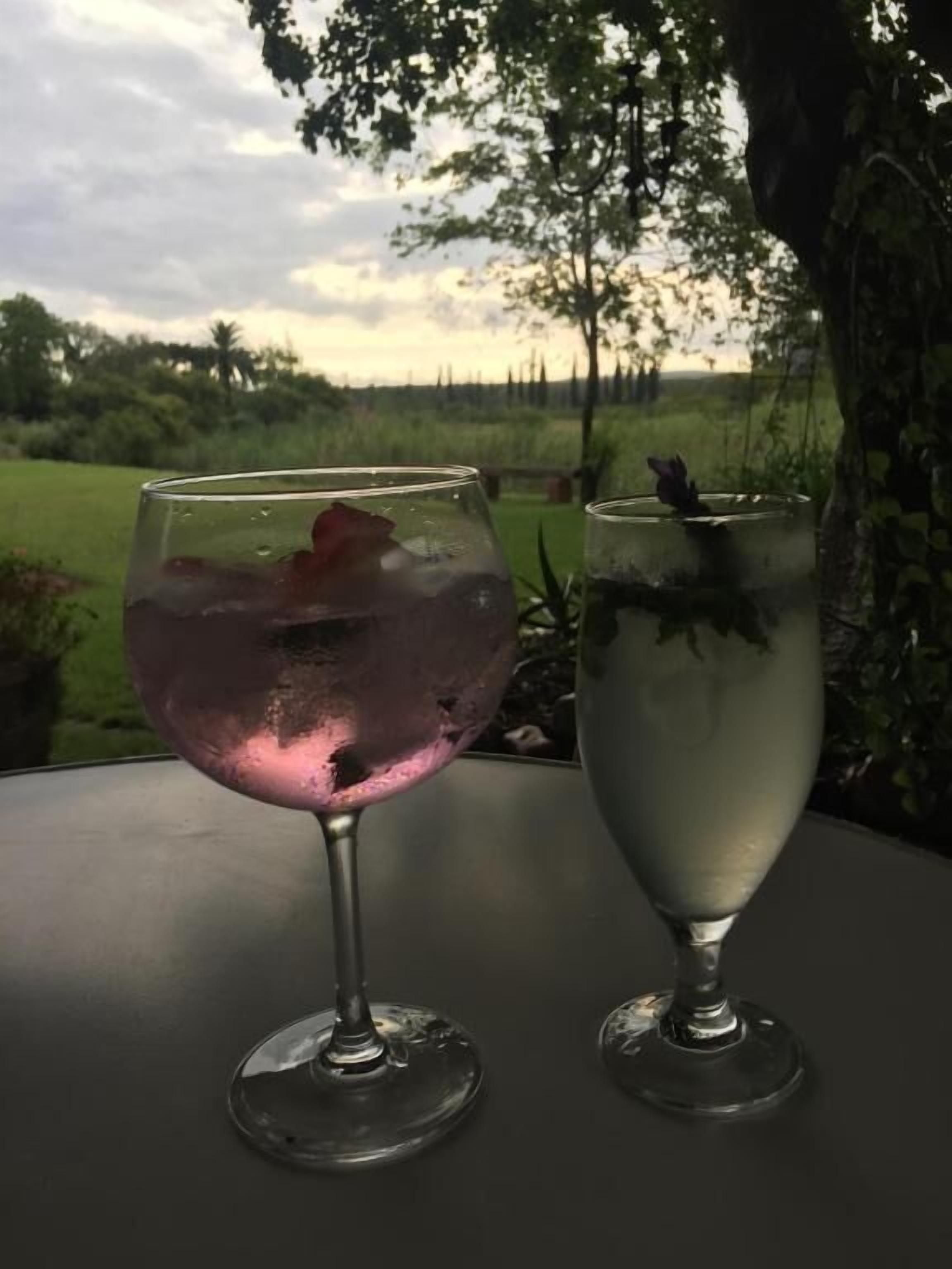Two glasses of beverages on a table with a view of a grassy field and trees in the background.