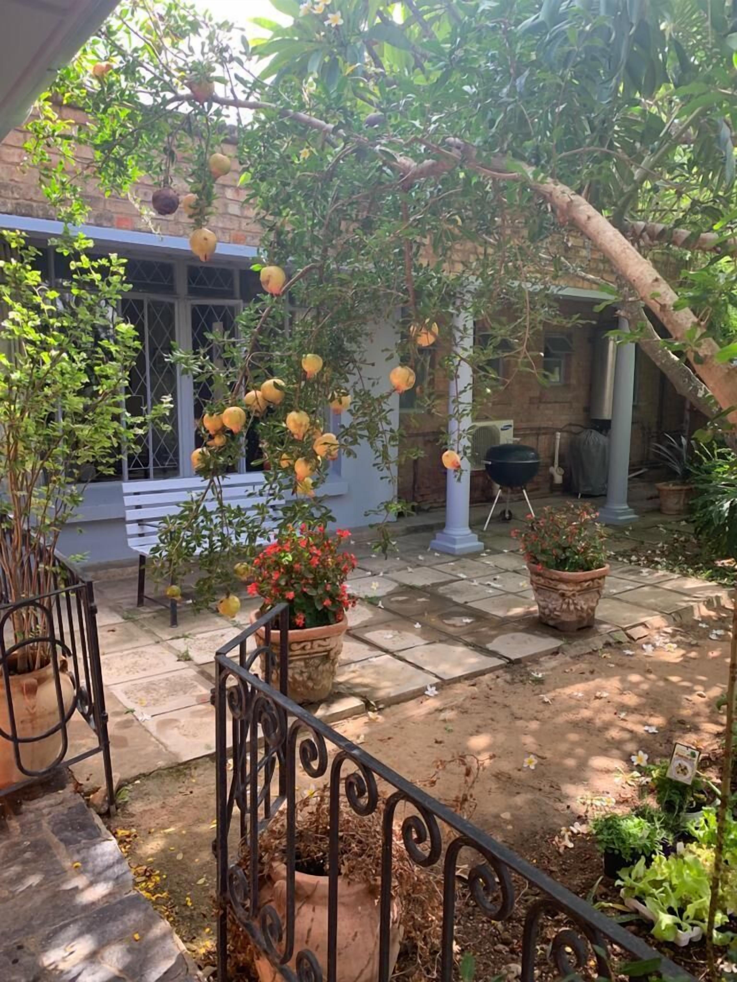 A courtyard with a pergola covered in yellow flowers, potted plants, and a stone pathway.
