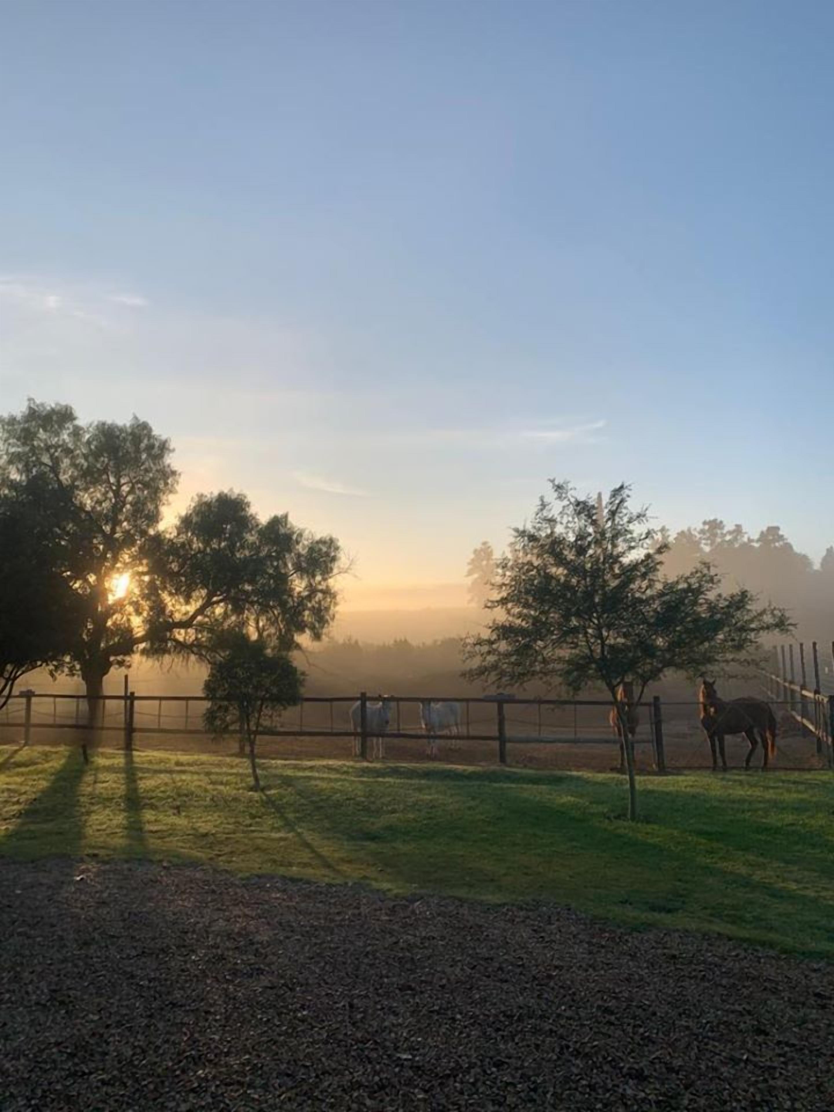 A rural landscape with a fence, trees, and a clear sky.