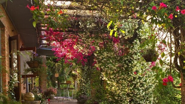 A stone pathway leading through a lush garden with flowering plants and a pergola structure.