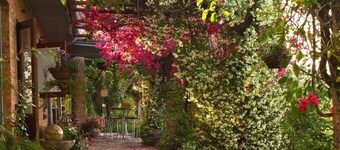 Gerald's Gift Guest House