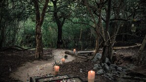 Un área boscosa con un sendero de tierra, velas y pétalos de flores.