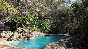Una piscina con borde de roca natural, rodeada de abundante vegetación y árboles.