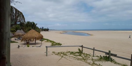 Una playa cerca, paseos en botes a motor
