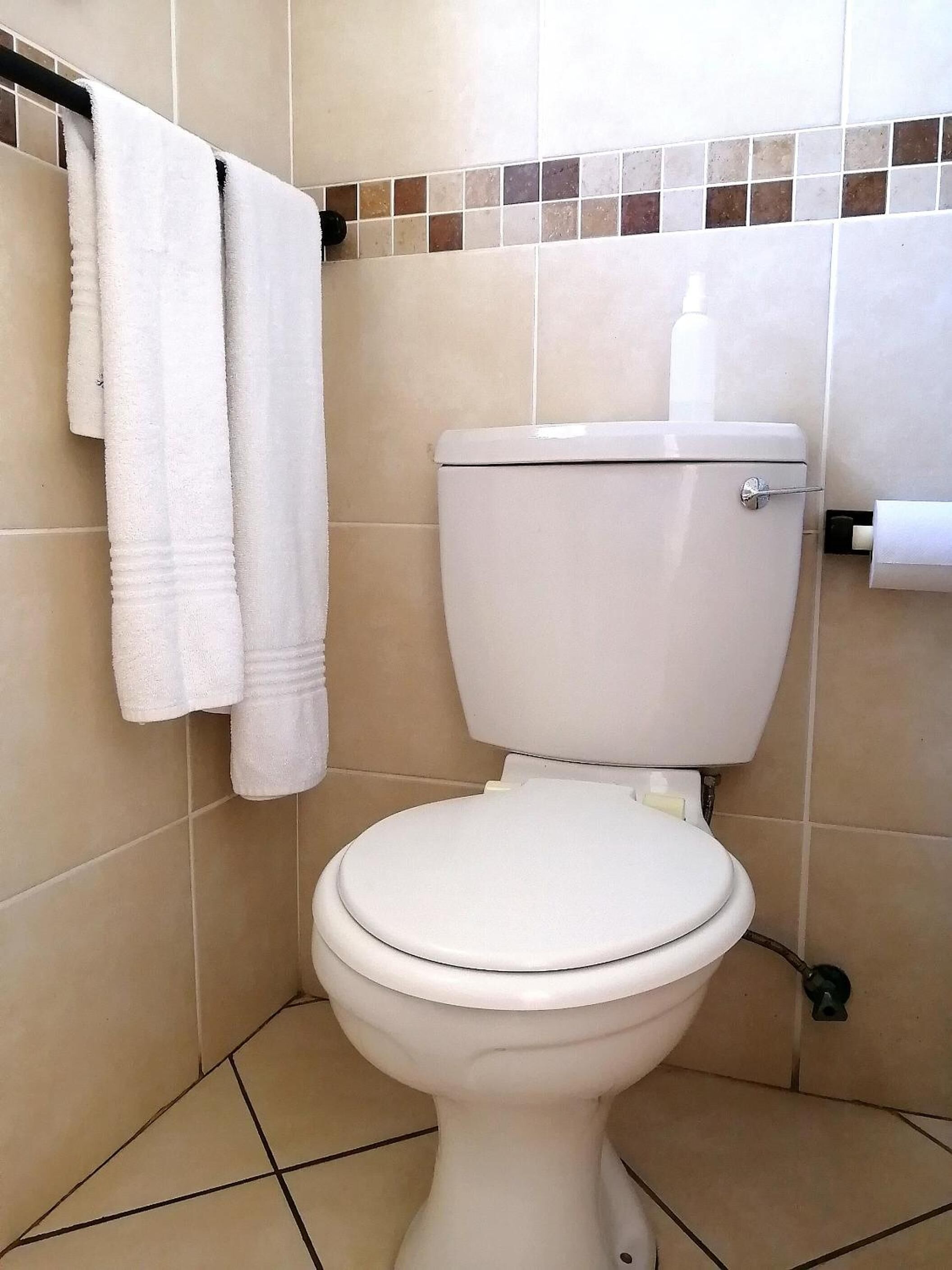 A white toilet with a tank, a towel rack with two towels, and a toilet paper holder.