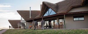 View from property - JBay Zebra Lodge (Thornhill)