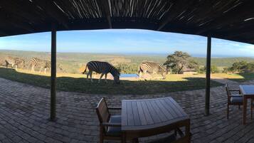 Free daily full breakfast