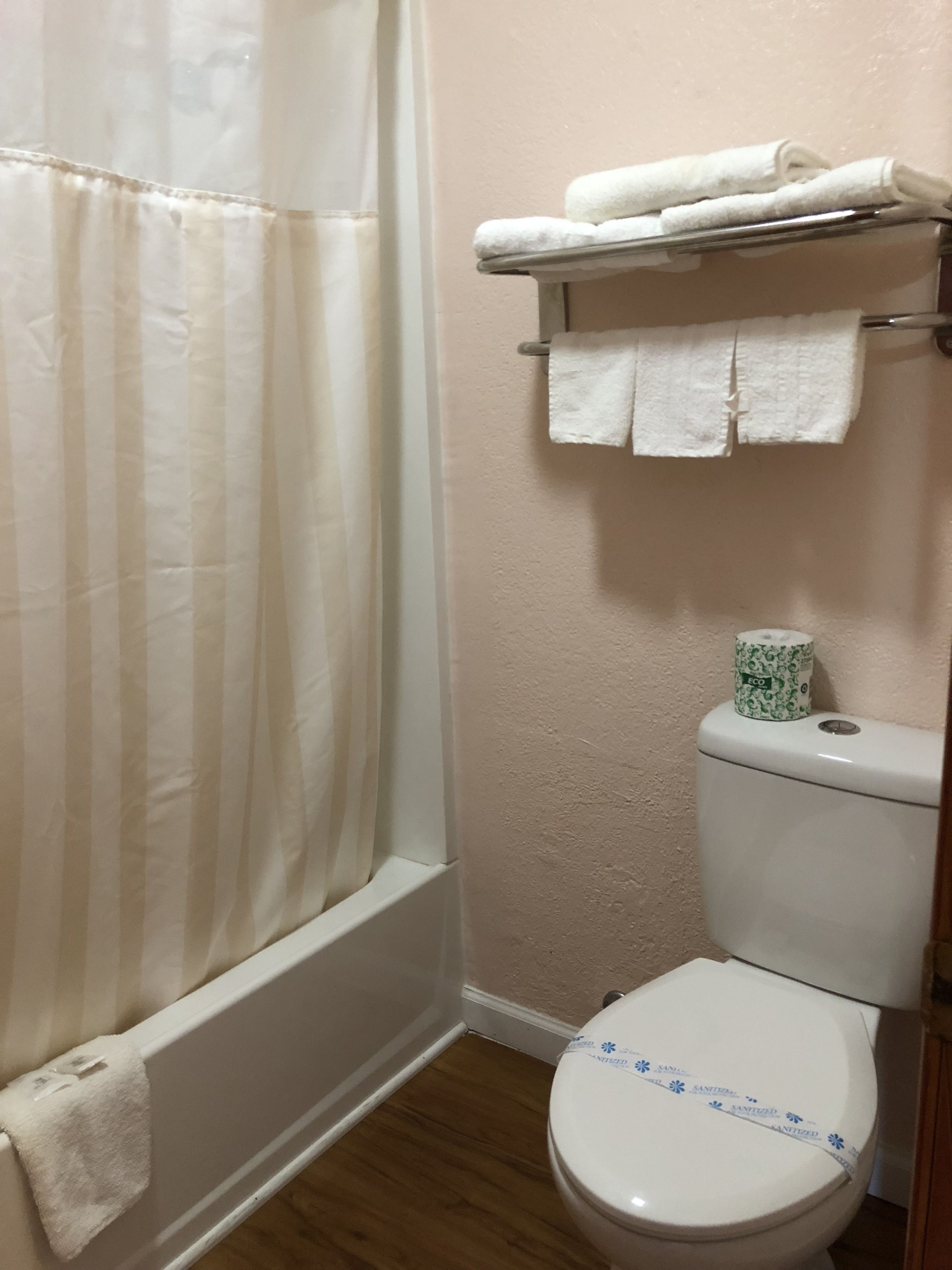 A bathroom with a shower curtain, a toilet with a paper towel holder, and a shelf with towels.