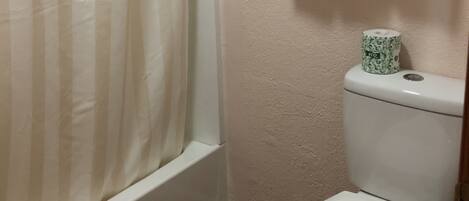 Une salle de bain avec un rideau de douche, des toilettes dotées d’un porte-serviettes en papier et une étagère avec des serviettes.