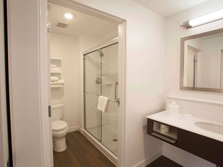 Een badkamer met een douche met glazen wand, een wit toilet en een wastafel met spiegel.