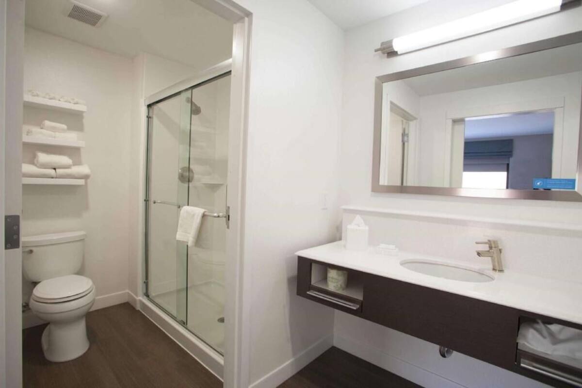 A modern bathroom with a glass-enclosed shower, a white toilet, and a vanity with a mirror and sink.