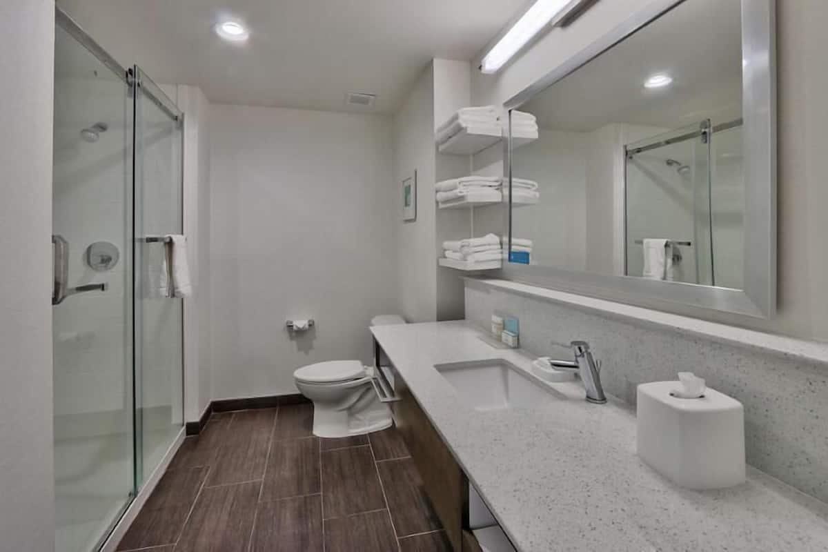 Bathroom | Shower, free toiletries, hair dryer, towels