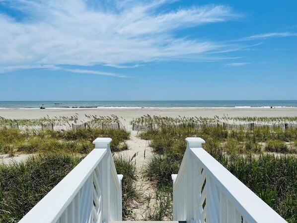 House, 4 Bedrooms | Property grounds