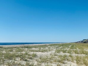 A beach with sand dunes and a clear blue sky.