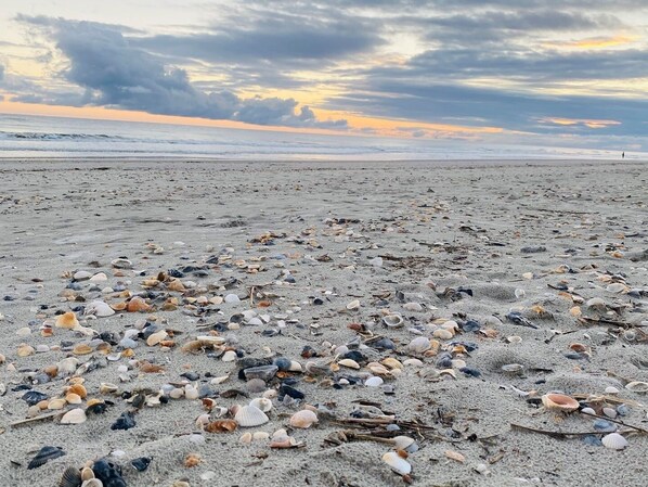 A beach with scattered seashells and a cloudy sky.