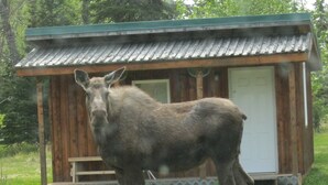 Utsikt mot gårdsplass
