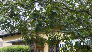 Reception - Jean Lee Bed & Breakfast (Pietermaritzburg)