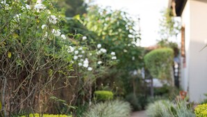 Property grounds - Jean Lee Bed & Breakfast (Pietermaritzburg)
