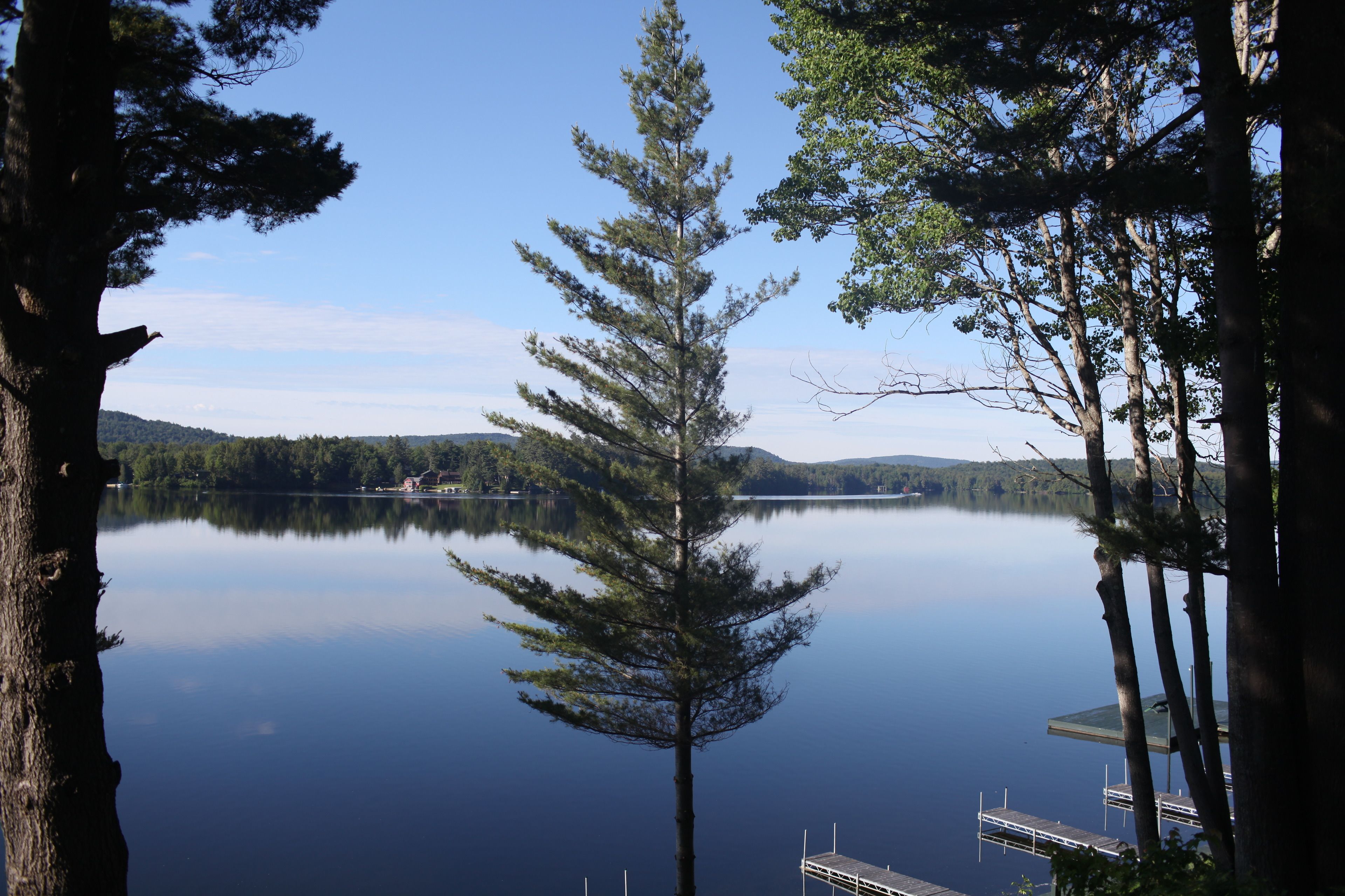 Un lac paisible, avec un quai et un pin au premier plan.