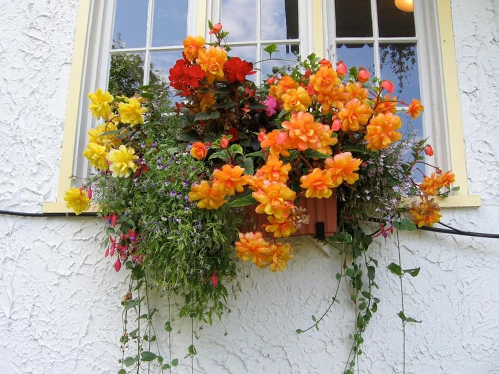 Northland Lodge by null