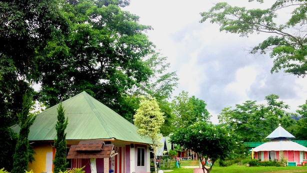 Une rangée de maisons aux toits verts, entourées d’une végétation luxuriante et bordée d’un chemin de terre.