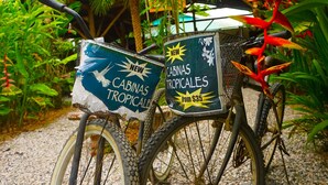 Een fiets met een bord waarop 'Cabinas Tropicales' staat, vanaf 35 dollar.