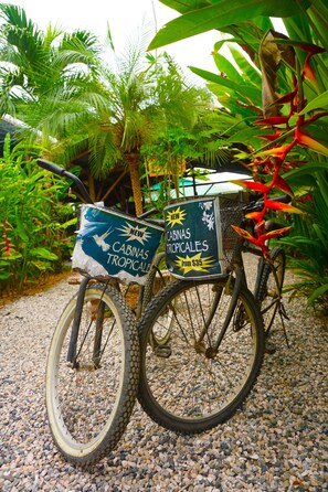 Bicycling - Cabinas Tropicales Puerto Jimenez (Puerto Jiménez)