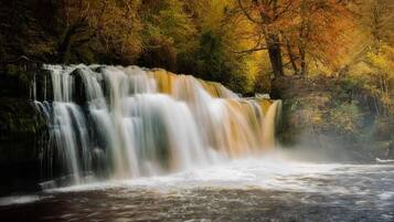Een waterval in een bebost gebied met weelderige begroeiing en bomen in herfstkleuren.