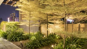 A well-lit garden area with various plants and trees, a paved walkway, and a building in the background. - CJ Pallazzio (Salem)