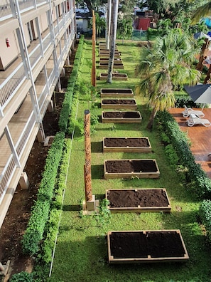 Jardin