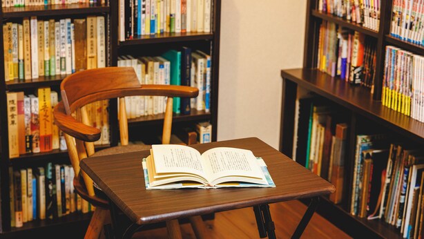 Bibliotek