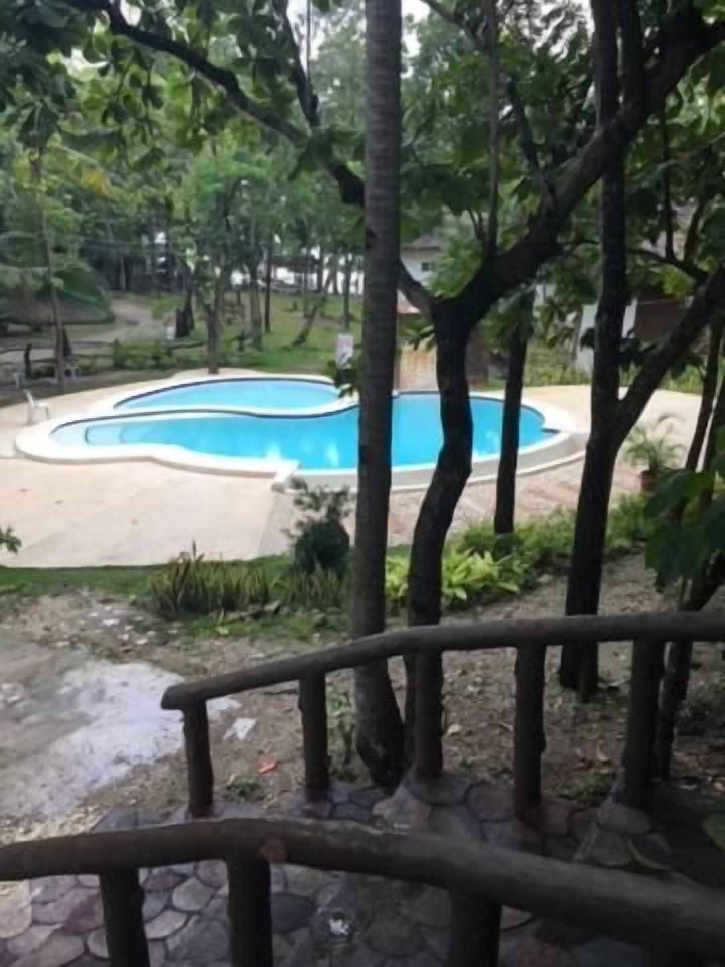A pool surrounded by trees and a stone pathway.
