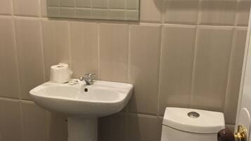 A bathroom with a white sink, toilet, and a mirror above the sink.