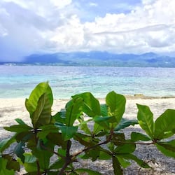 私人海灘、白沙、遮陽傘、釣魚