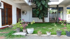 Un patio con plantas en macetas y un árbol grande.