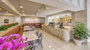 Un café moderno con mostrador, zona de estar y una planta en maceta.