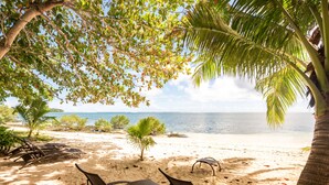 A beach with lounge chairs and a palm tree.