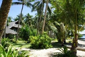 Property grounds - Siargao Inn Beach Resort (General Luna)