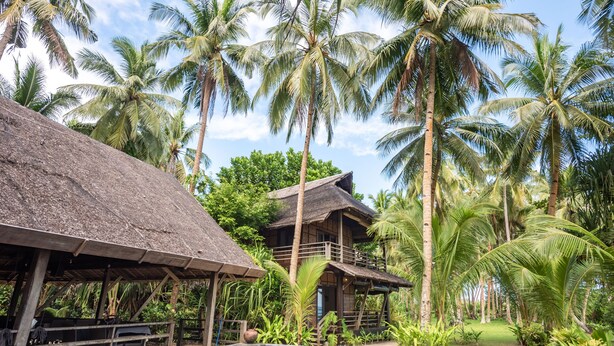A pool area with a thatched roof structure, a wooden building, and palm trees.