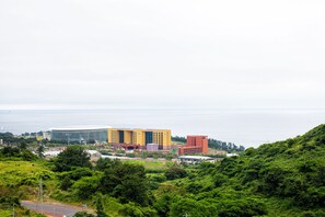 Vista desde la habitación